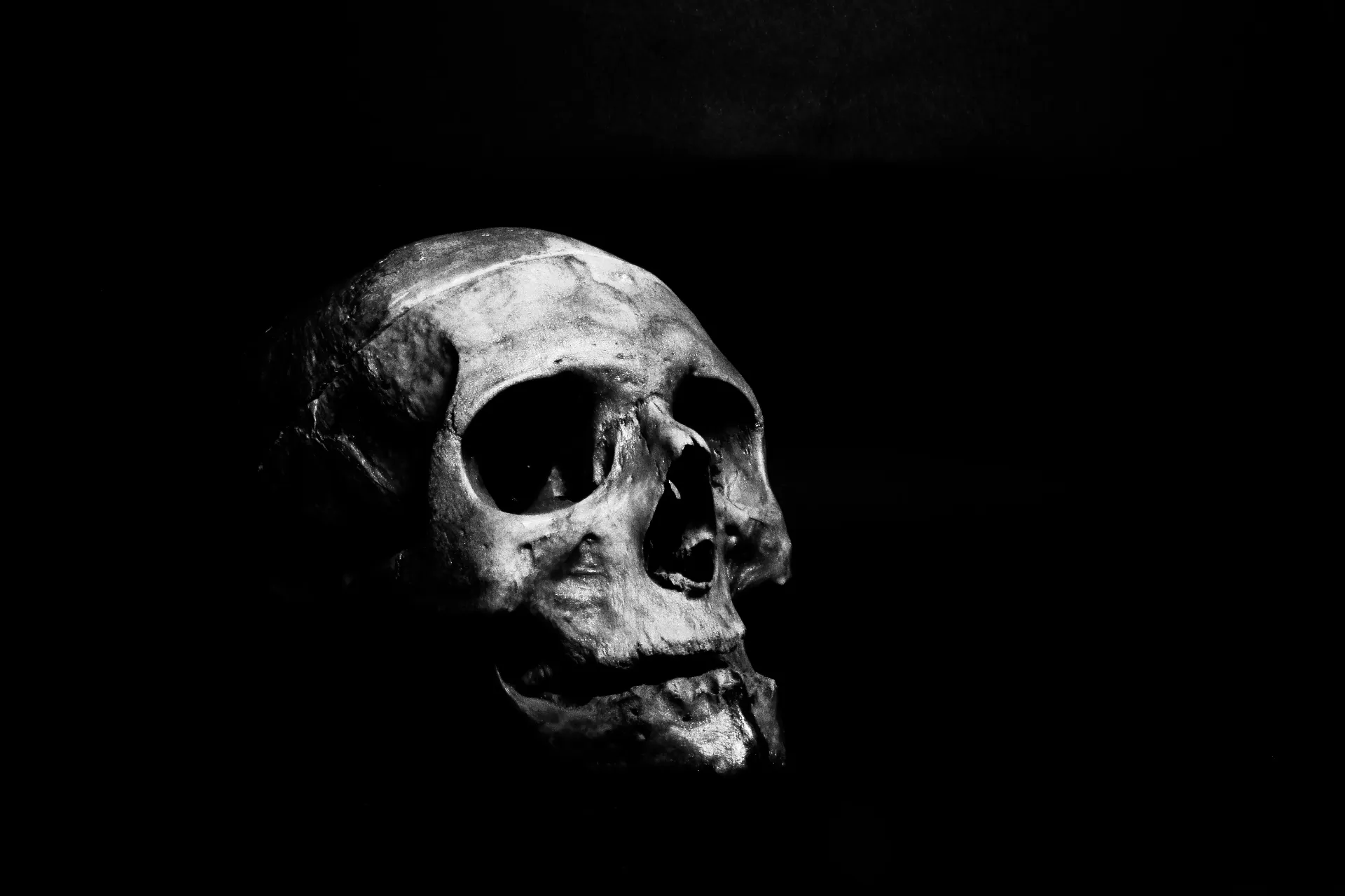 Secretos Ocultos: La Ciencia Sin Palabras y los Misterios que el Mundo Ignora