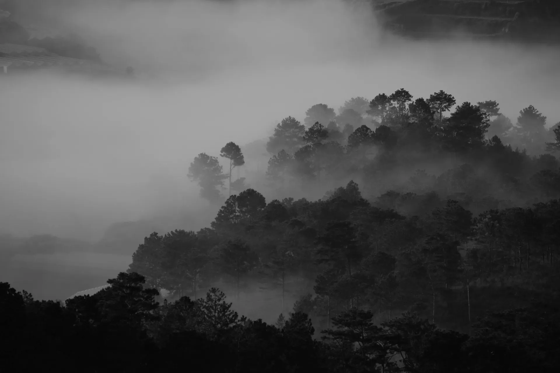 El Vacío Cuántico: Revelación Apocalíptica de un Ordenador.